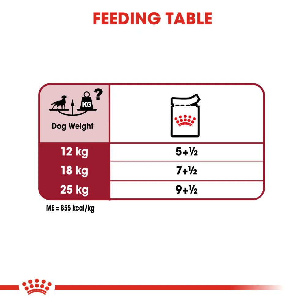 Royal Canin - Medium Adult Wet Dog Food Pouches 140g x 10 - Petservo