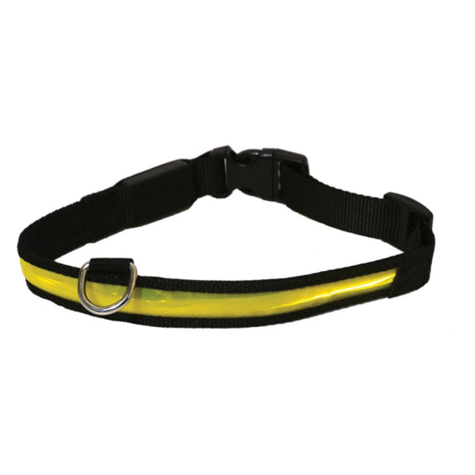 Rosewood - Flashing Collar Yellow - Petservo