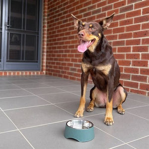 Baxter Bone - Ribbed Melamine Pet Bowl - Small Olive - Petservo