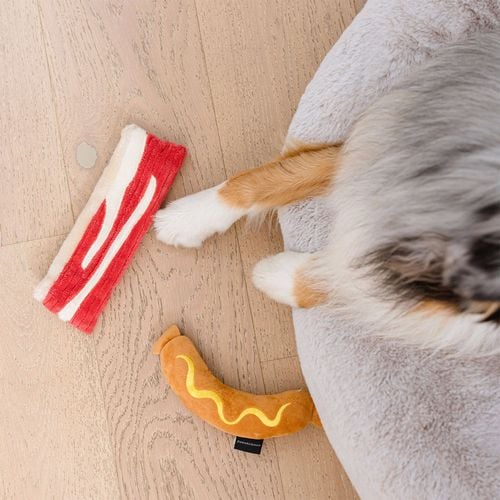 Paws & Claws - 24 x 7 x 3cm Sizzlin' BBQ Dog Toy - 2 Pack - Petservo