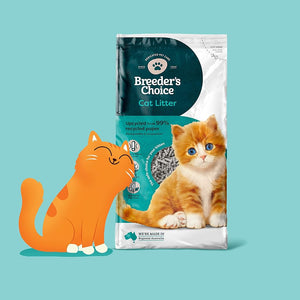 Breeders Choice - 99 percent Recycled Paper Cat Litter 6L  - Petservo