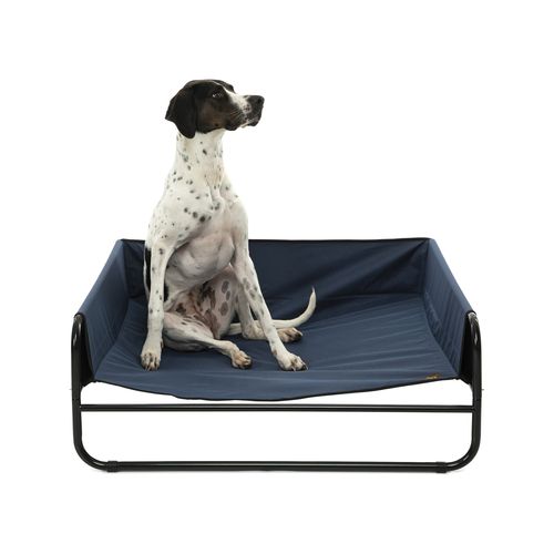 Charlie's High - Walled Outdoor Trampoline Dog Bed - Blue - Medium