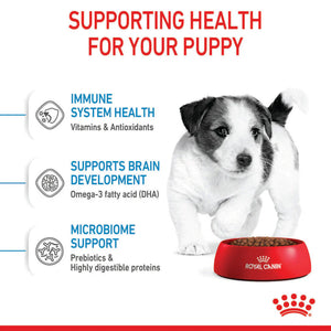 Royal Canin - Mini Puppy Dry Dog Food - Petservo