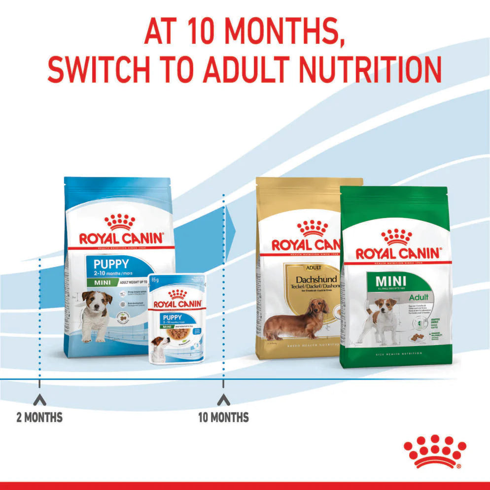 Royal Canin - Mini Puppy Dry Dog Food - Petservo