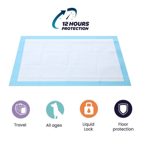 Paws & Claws - 100 x 70cm XL Protection Pet Training Pads - 15 Pack - Petservo