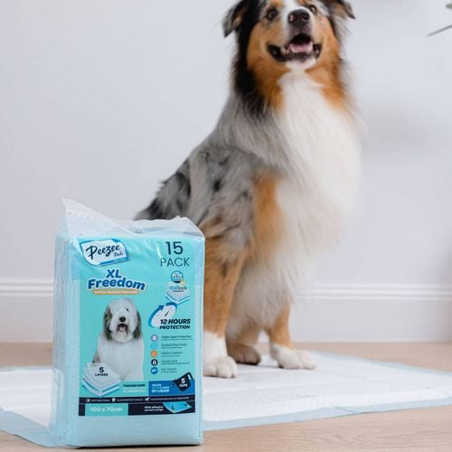 Paws & Claws - 100 x 70cm XL Protection Pet Training Pads - 15 Pack - Petservo