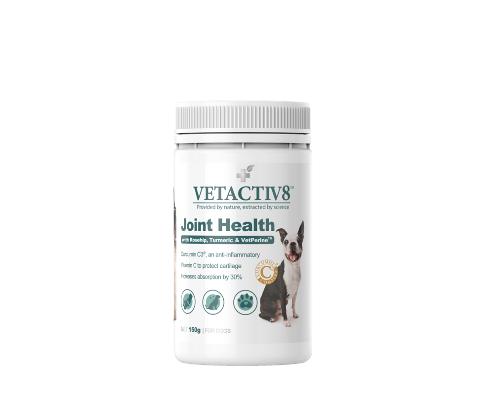 VetActiv8 - Joint Health 150g - Petservo