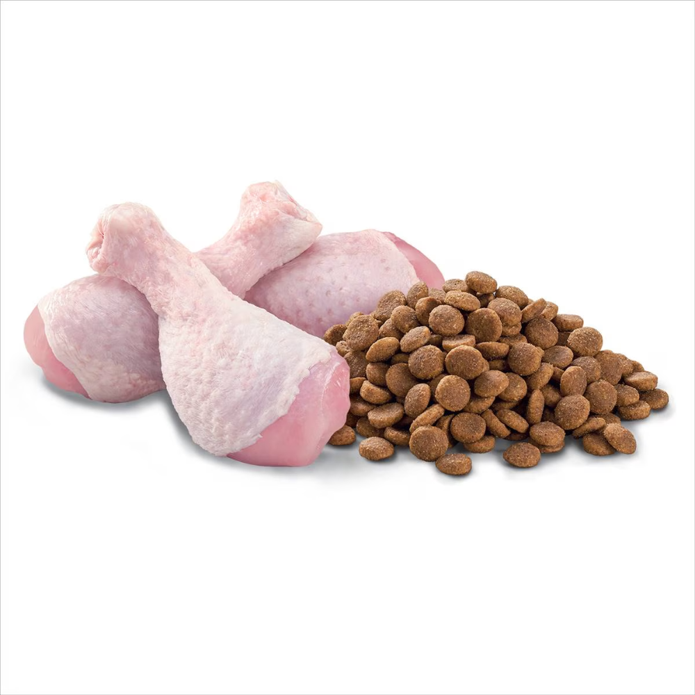 Optimum - Cat Food Chicken 2kg - Petservo