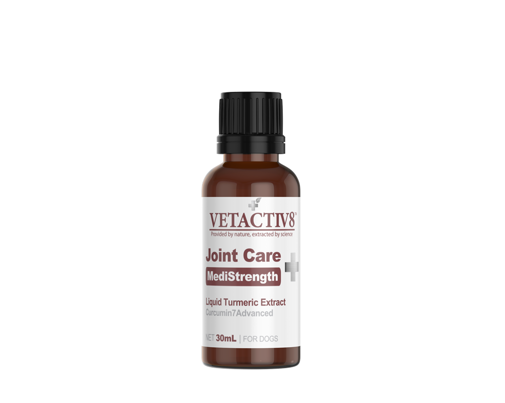 VetActiv8 - Joint Care Medistrength 30mL - Petservo