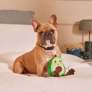 Happy Tails - Plush Avocado With Rope - petservo