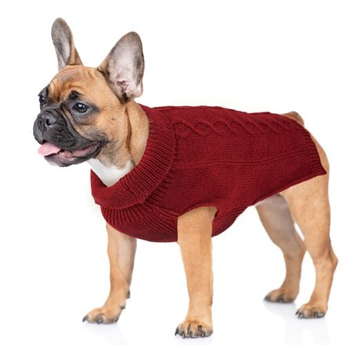 Dats - 25cm Knitted Dog Jumper - Mahroon - petservo