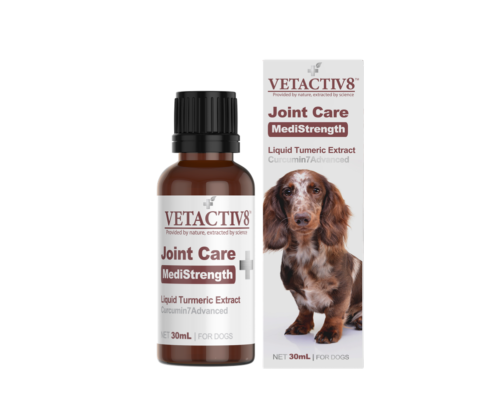 VetActiv8 - Joint Care Medistrength 30mL - Petservo