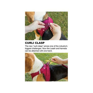 Curli - Extra Large Red Curli Clasp Air-Mesh Dog Vest Harness - petservo