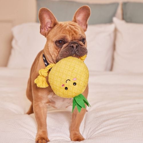 Happy Tails - Plush Pineapple With Rope - petservo