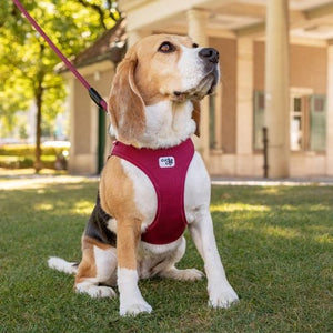 Curli - Extra Large Red Curli Clasp Air-Mesh Dog Vest Harness - petservo