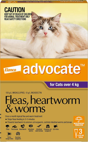 Advocate - Cat Spot-On Flea, Heartworm & Worms Treatment 1,3,6 Pack - Petservo