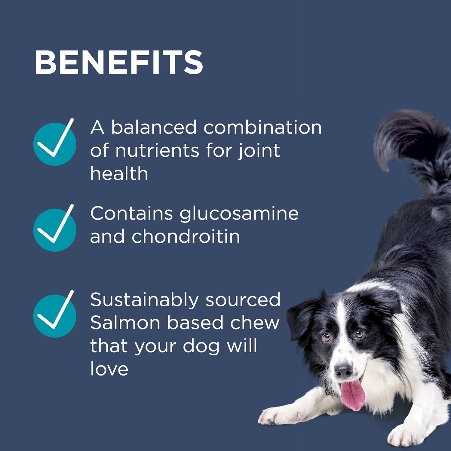 PAW by Blackmores - Osteocare® Joint Protect for Dogs Benefits - PetServo