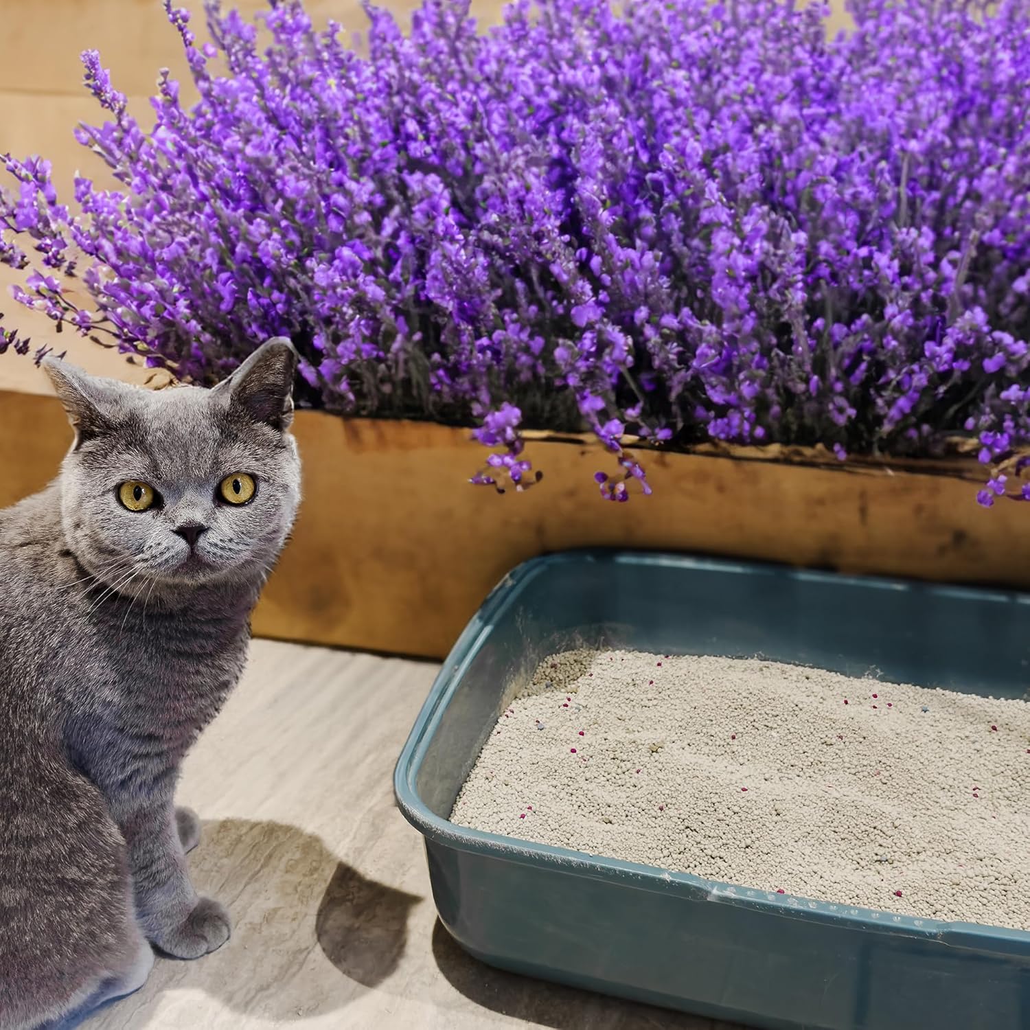 POOWEE - Clumping Lavender Cat Litter 7.5kg - Odour Control - Petservo