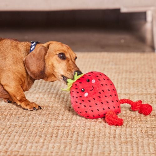 Happy Tails - Plush Strawberry With Rope - petservo