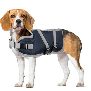 DATS - 45cm Dog Vest - petservo