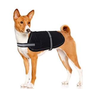 Dats - 45cm Black Dog Vest - petservo