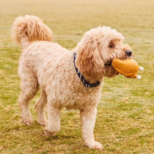 Happy Tails - Roast Chicken Latex Toy - petservo