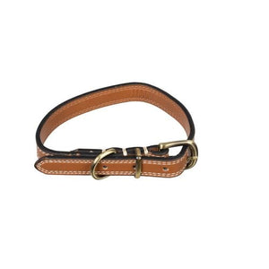 Happy Tails - Small Faux Leather Dog Collar - petservo