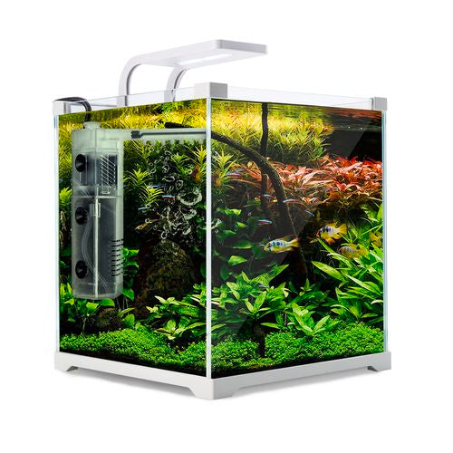 Dynamic Power - Aquarium Fish Tank 16L Starfire Glass