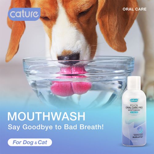 Cature - Rollon Pet Dog/cat Oral Care Pro 350ml Mouth Wash Bottle