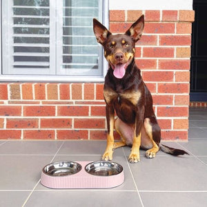 Baxter Bone - Melamine Ribbed Double Pet Bowl - Pink - Petservo