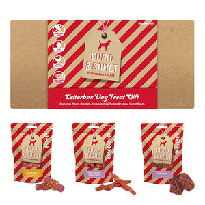 Rosewood - CHRISTMAS LETTERBOX DOG TREATS GIFT 300G - Pet Servo