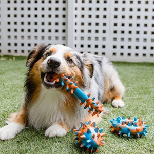 Paws & Claws - Assorted Spikey TPR Dog Toy - Petservo