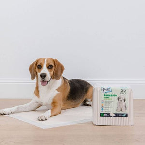 Paws & Claws - 56 x 56cm Bamboo Fibre Pet Training Pads - 25 Pack - Petservo