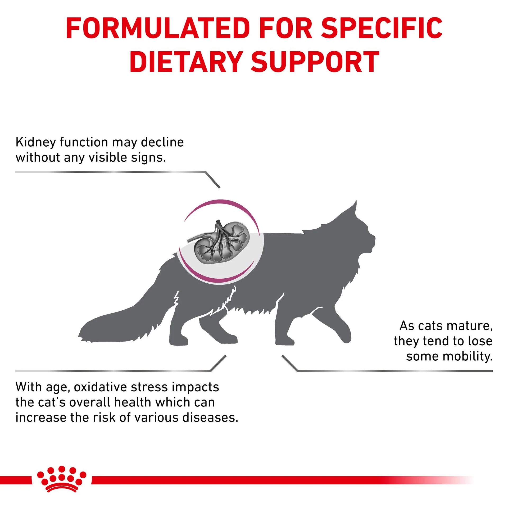 Royal Canin - Veterinary Diet Early Renal Adult Dry Cat Food - Petservo