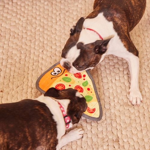 Happy Tails - Super Tough Pizza Toy - petservo