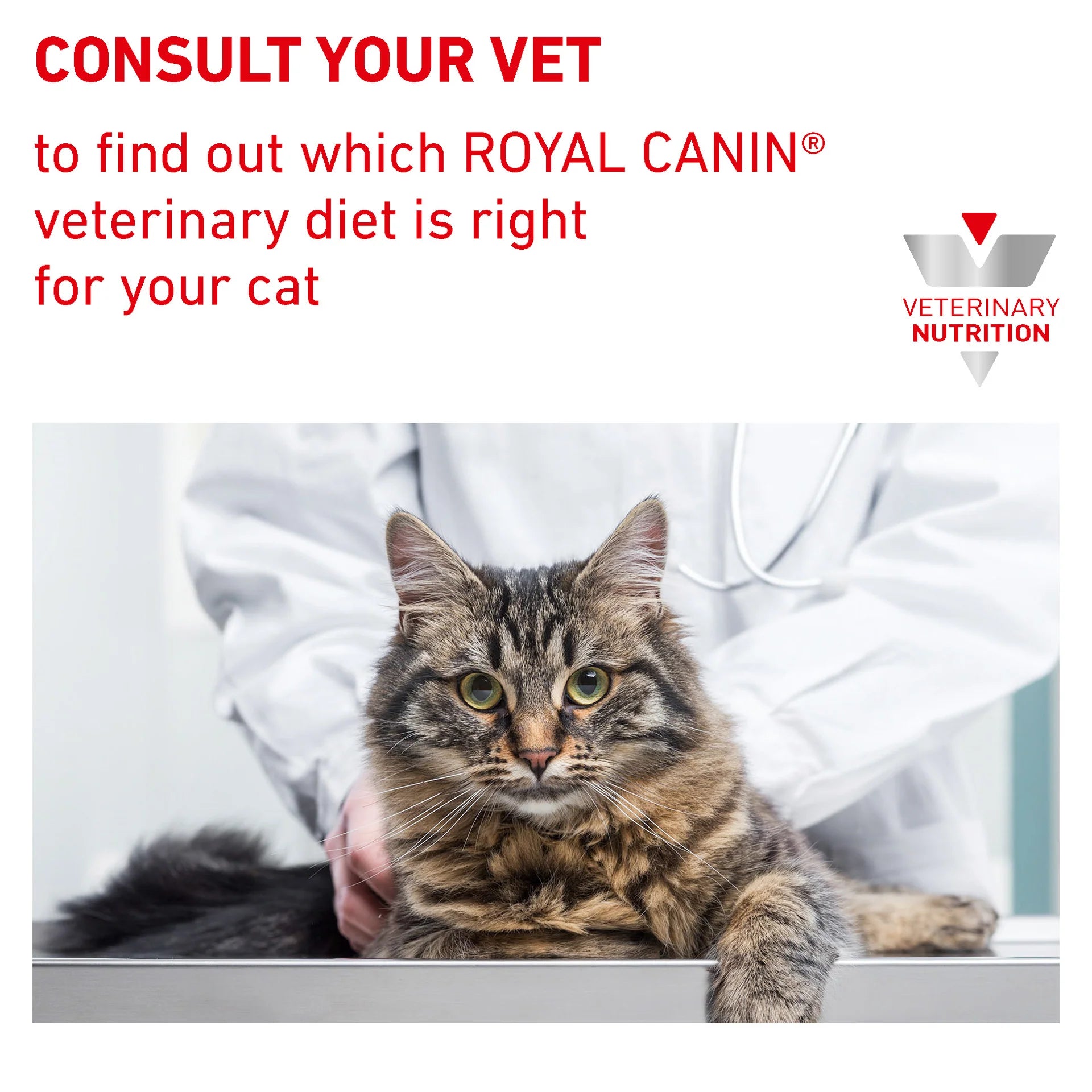 Royal Canin - Veterinary Diet Gastrointestinal Adult Wet Cat Food 85g x 12 - Petservo