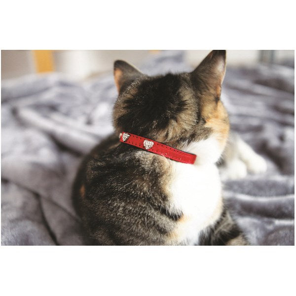 Rosewood - Winter Fashion Cat Collar - Petservo