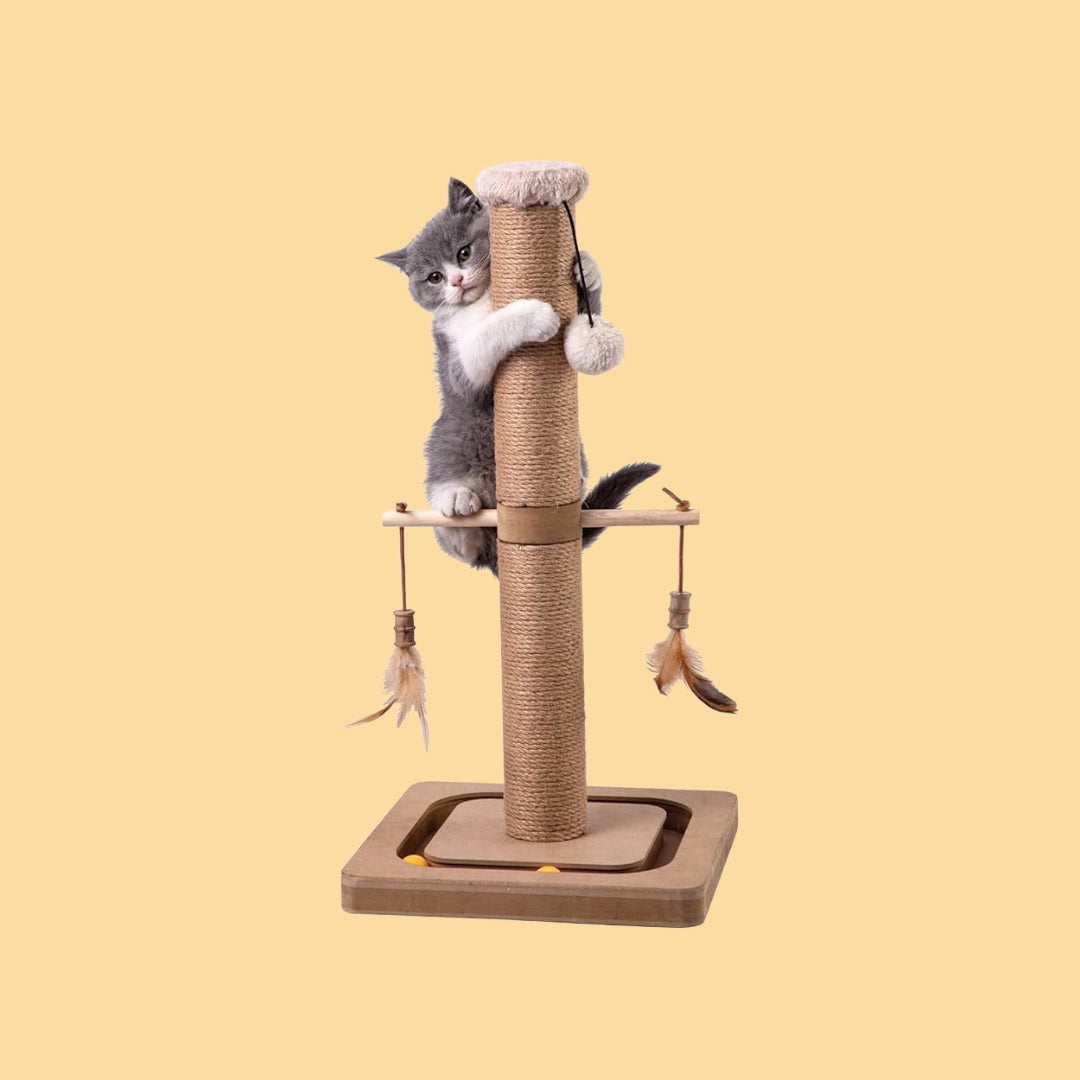 Buy Cats - Scratching Posts and Scratchers - Pet Servo