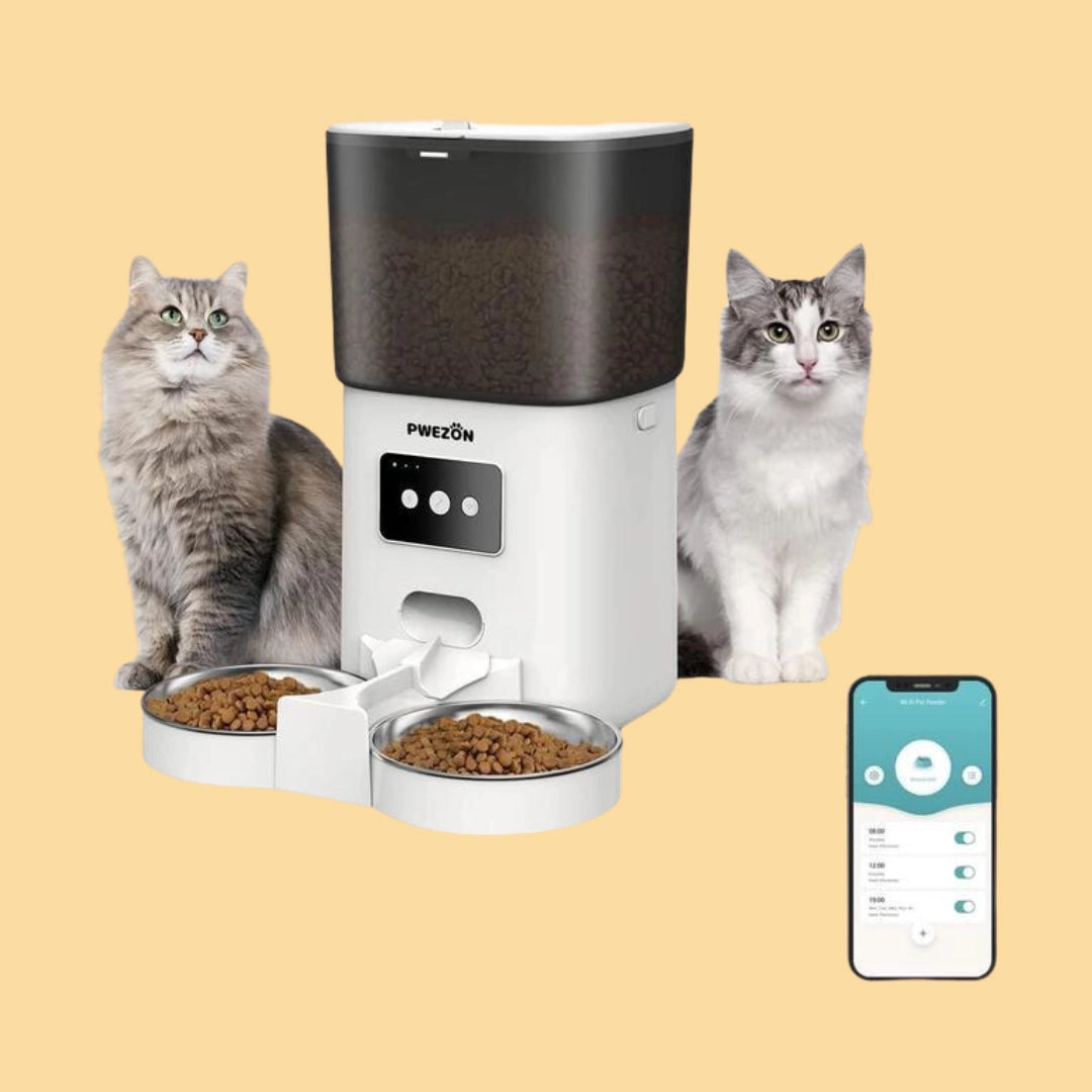 Buy Cats - Feeders and Bowls Categorie at Pet Servo