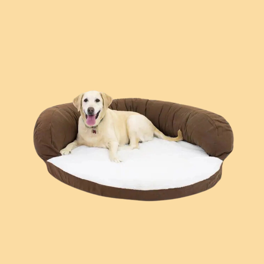 Buy Dogs - Beds Categorie - Pet Servo