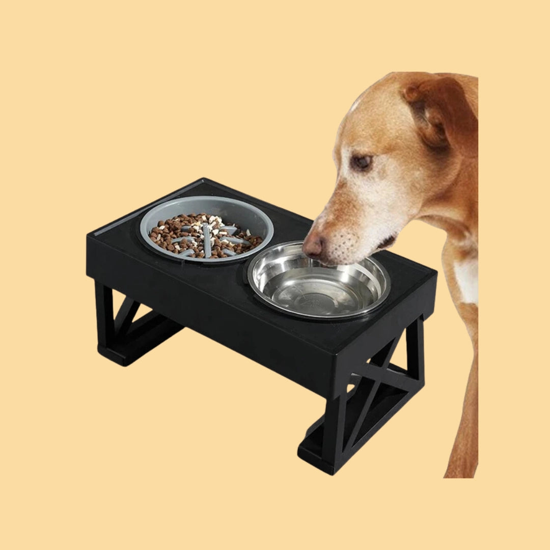 Buy Dogs - Bowls and Feeders - Pet Servo