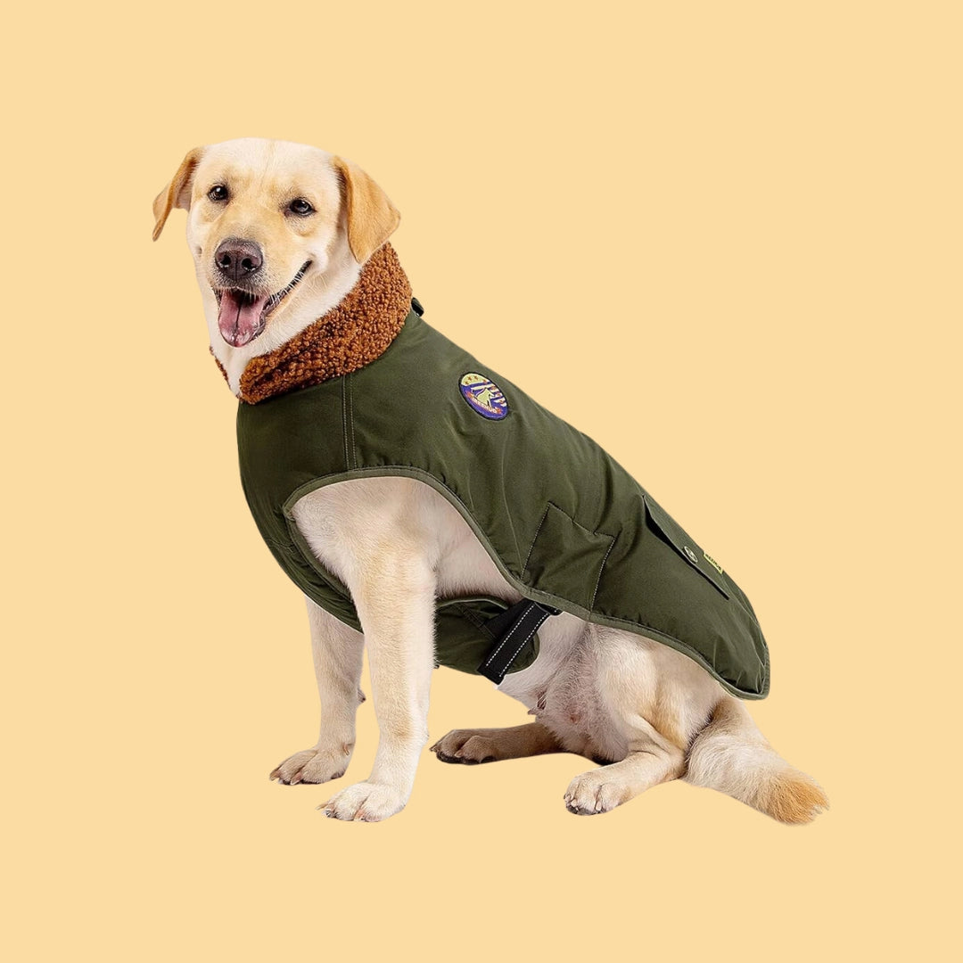 Buy Dogs - Coats and Jackets - Pet Servo 