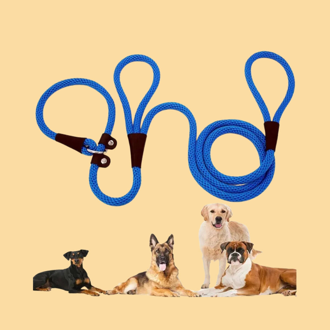 Buy Dogs - Leashes and Leads Collecton - Pet Servo