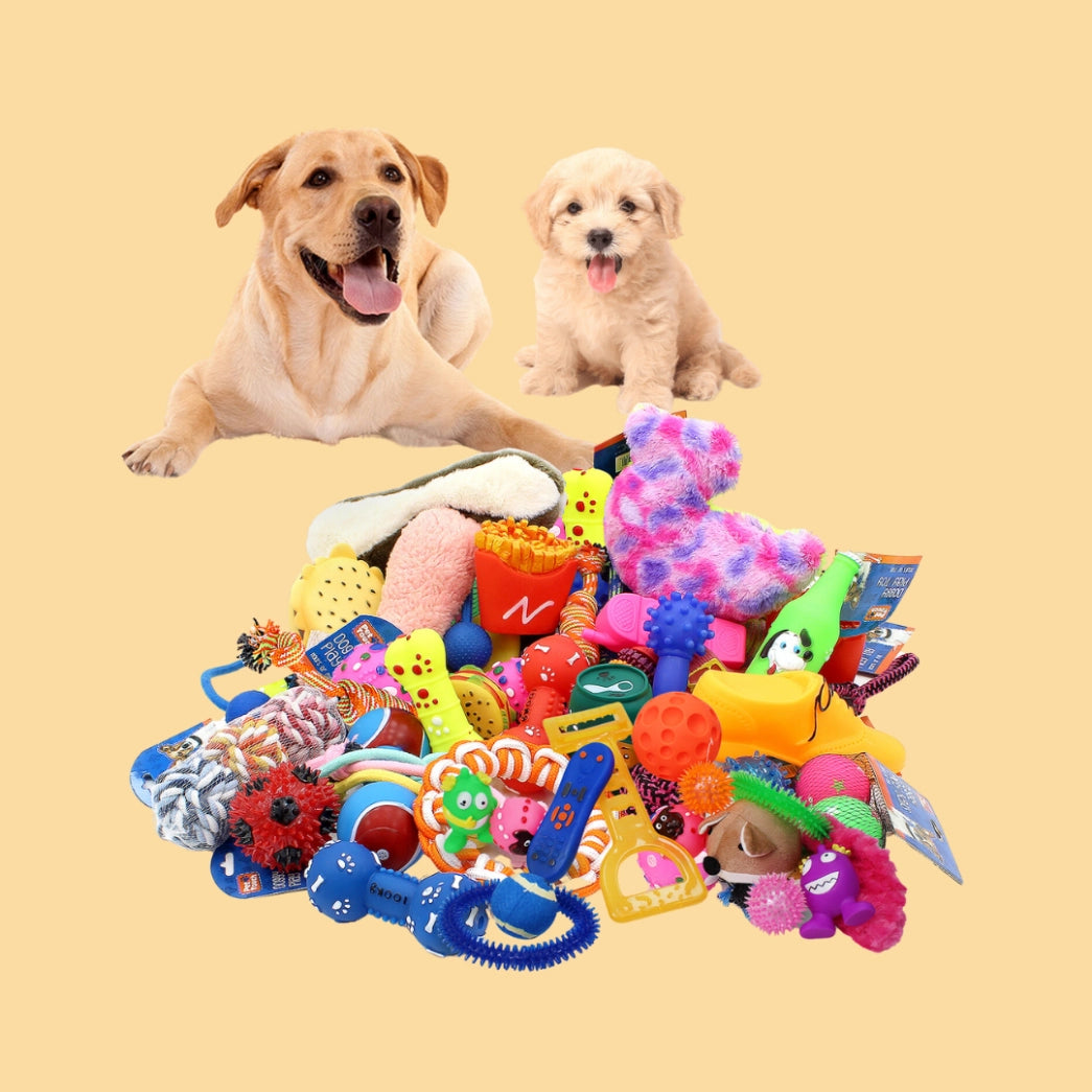 Buy Dogs - Toys Categorie - Pet Servo