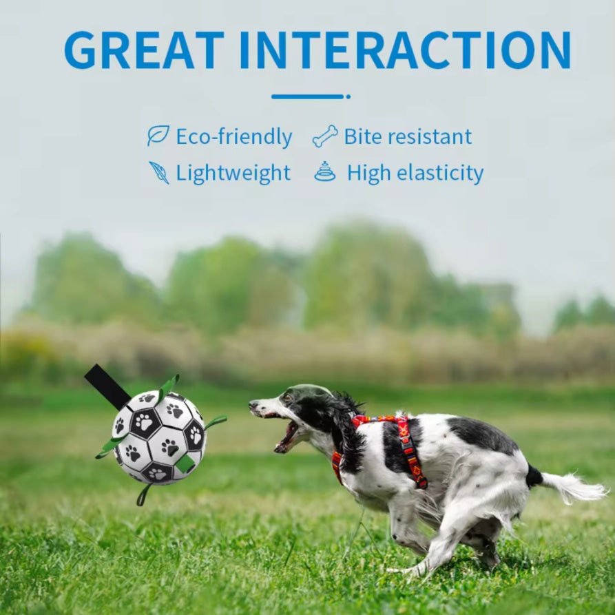 M-PETS - Interactive Dog Soccer Ball With Grab Tabs - Petservo