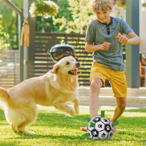 M-PETS - Interactive Dog Soccer Ball With Grab Tabs - Petservo