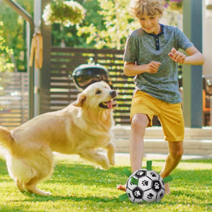 M-PETS - Interactive Dog Soccer Ball With Grab Tabs - Petservo