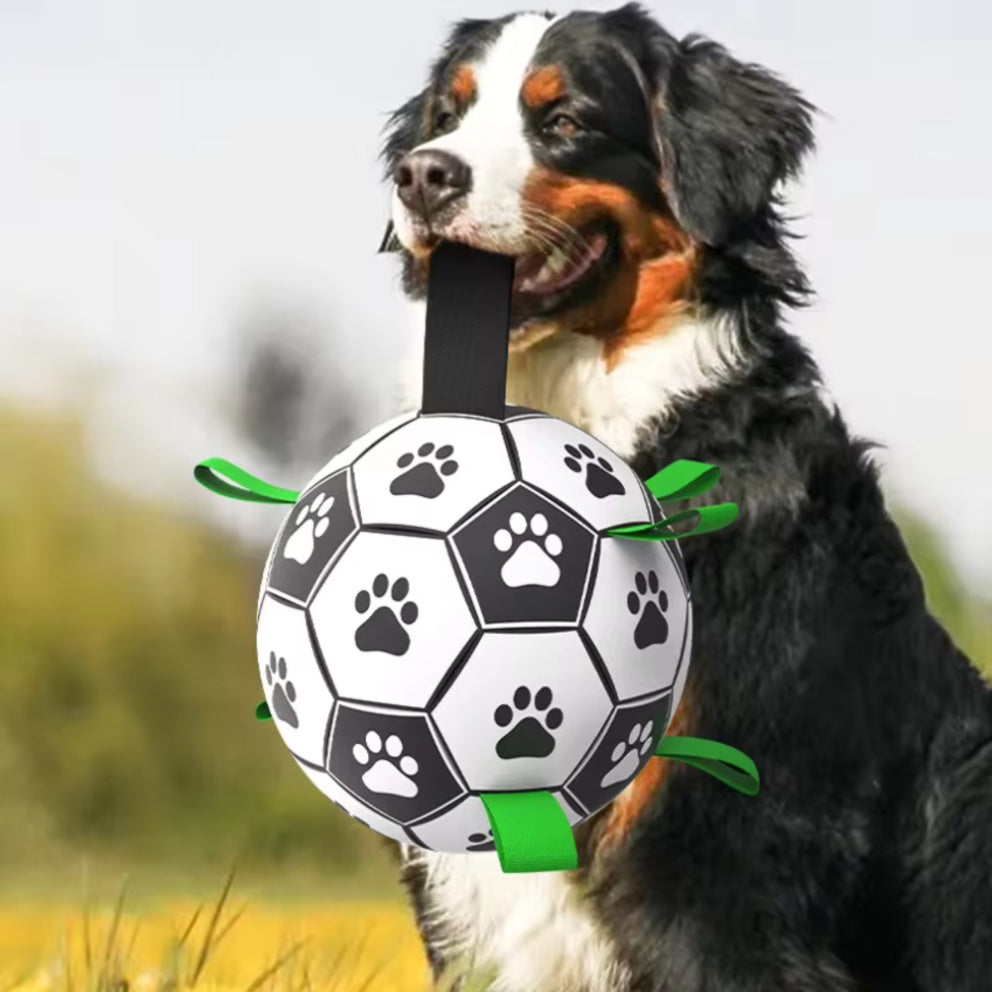 M-PETS - Interactive Dog Soccer Ball With Grab Tabs - Petservo