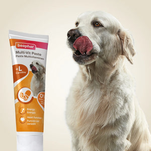 Beaphar - Multi Vitamin Paste for Dog 100g - Petservo