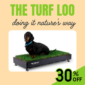 The Turf Loo - Pet Training Turf Loo